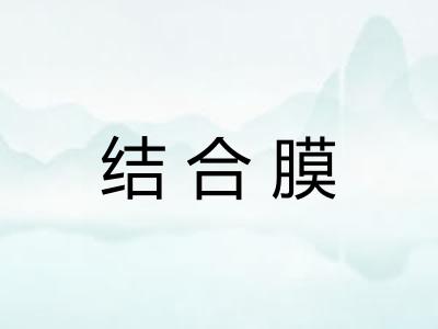 结合膜