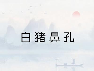 白猪鼻孔