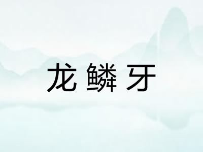 龙鳞牙 龙鳞牙