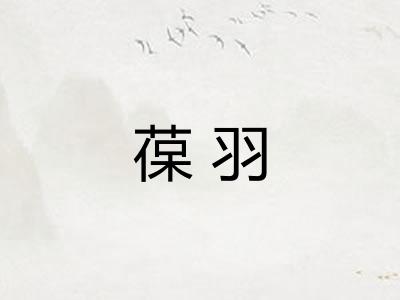 葆羽