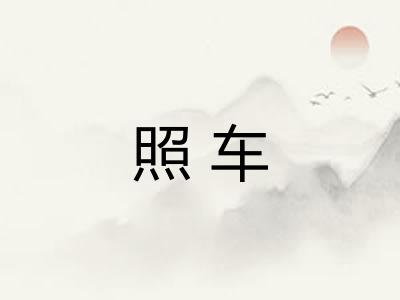 照车