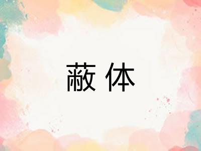 蔽体