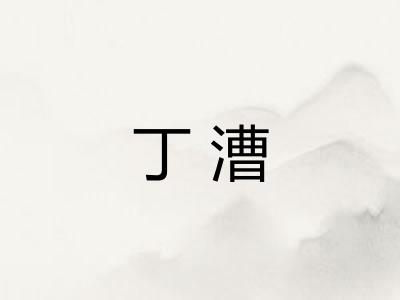 丁漕