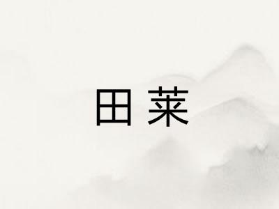 田莱