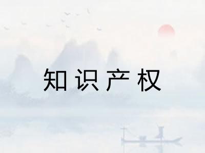 知识产权