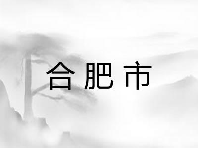 合肥市