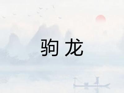 驹龙