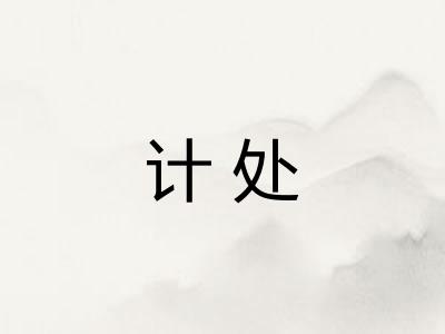 计处