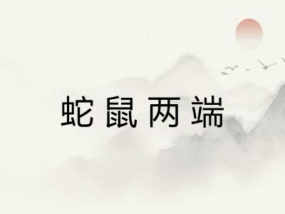 蛇鼠两端