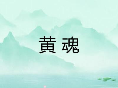 黄魂