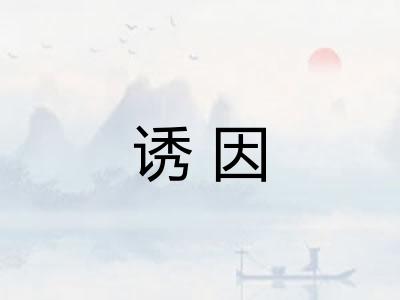 诱因