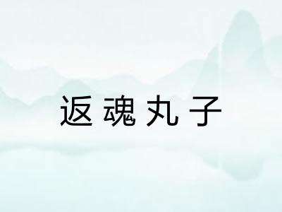 返魂丸子