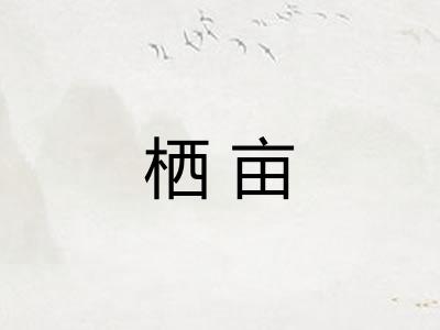 栖亩