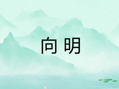 向明