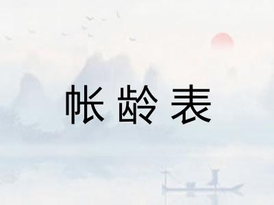 帐龄表