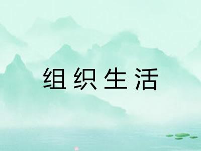 组织生活