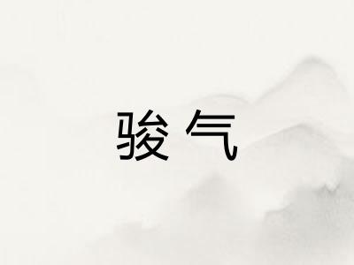 骏气