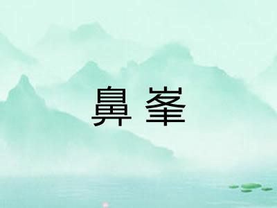 鼻峯