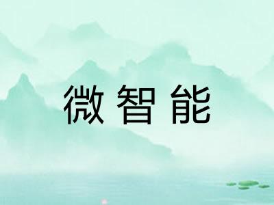 微智能
