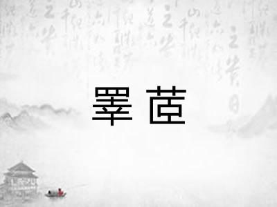 睪茝