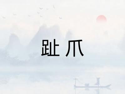趾爪