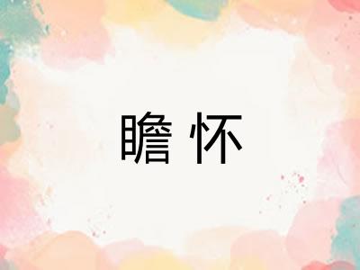 瞻怀