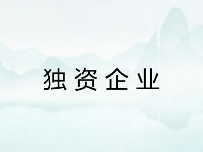 独资企业