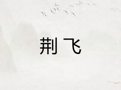 荆飞