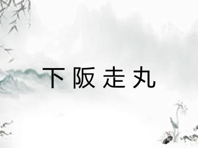 下阪走丸