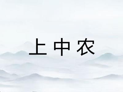 上中农