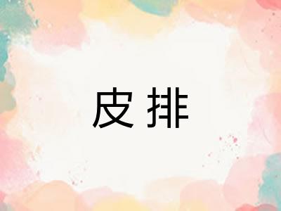 皮排