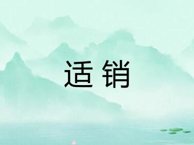 适销