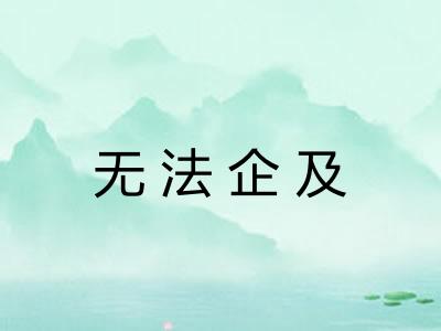 无法企及