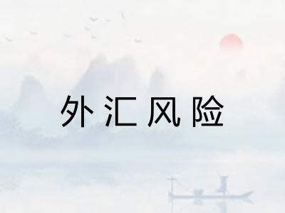 外汇风险