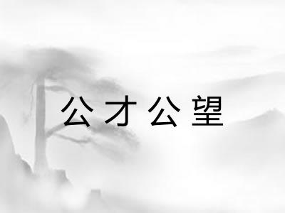 公才公望