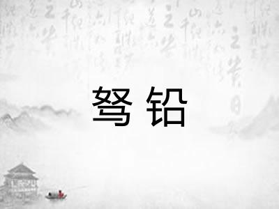 驽铅
