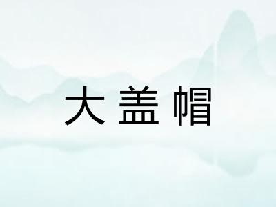 大盖帽