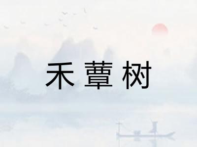 禾蕈树