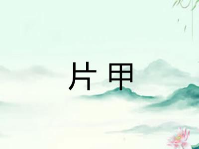 片甲