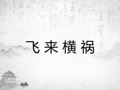飞来横祸