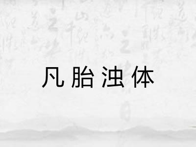 凡胎浊体