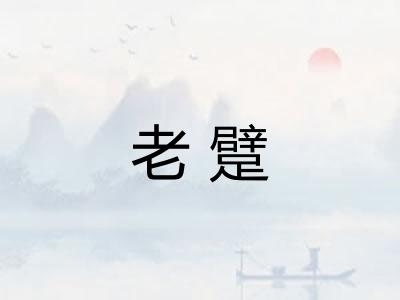 老躄