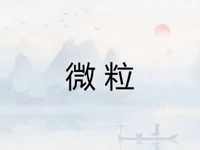 微粒