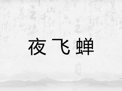 夜飞蝉
