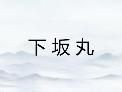 下坂丸 下坂丸
