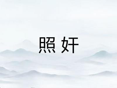 照奸