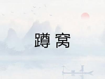 蹲窝 蹲窝