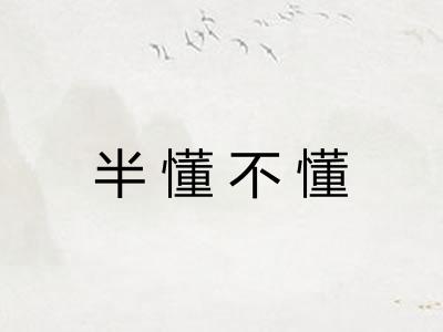 半懂不懂