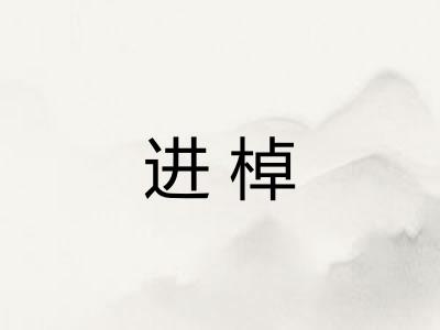 进棹