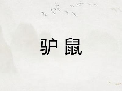 驴鼠